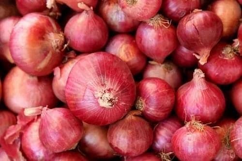 Red onions, 36 mm and above