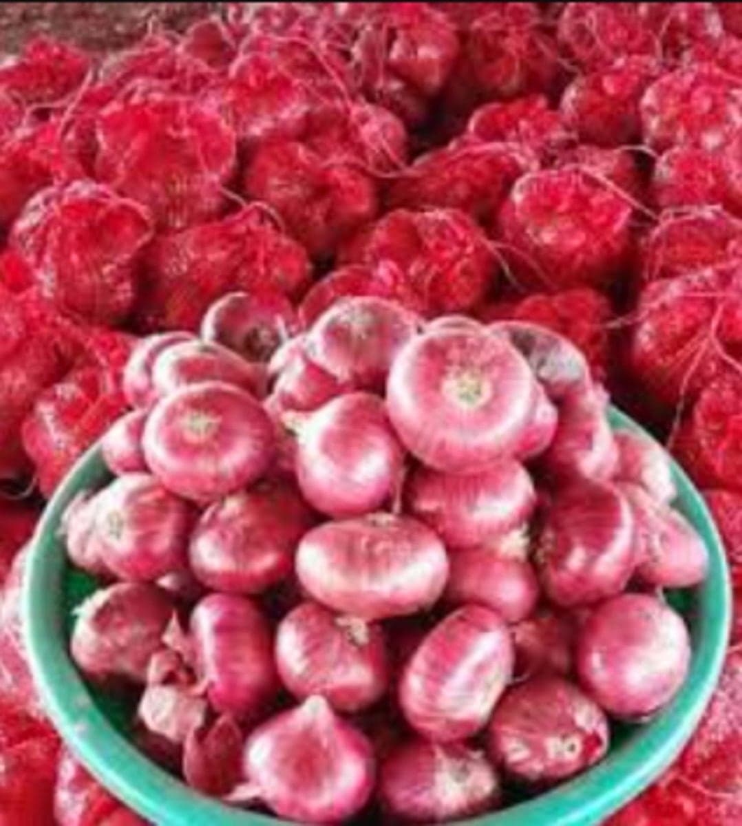 Red onions, 50 mm and above
